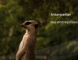 ESG : Ecofi s’engage pour les Enjeux de Gouvernance...