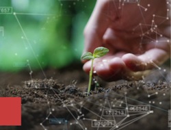 La transition écologique comme opportunité d'investissement…