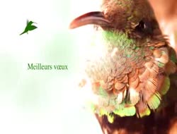 Plutôt ZEN chez Rothschild cette année...:-) 