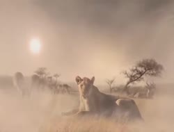 DNCA toujours en chasse ;)