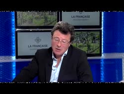 Comment investir dans un Groupement Foncier Viticole ?