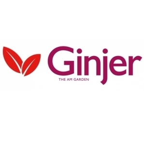 Ginjer Actifs 360