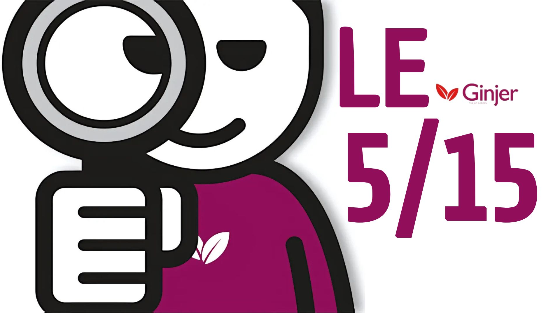Euphorie en vue sur les marchés ? 60 secondes pour faire le point...