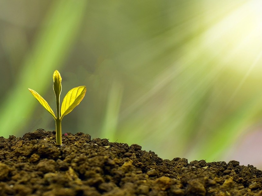 La thématique de la transition verte s'essouffle-t-elle déjà ?